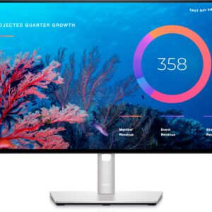 Dell 24" U2422HE USB-C monitor